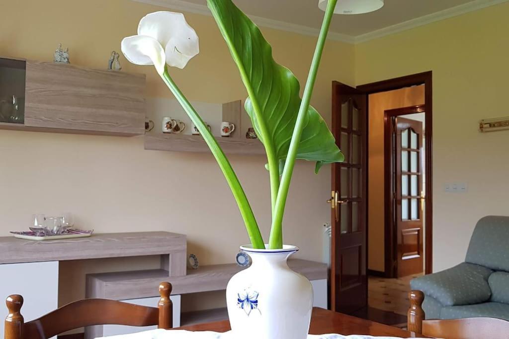 Apartamento A Pampillosa Fazouro Luaran gambar